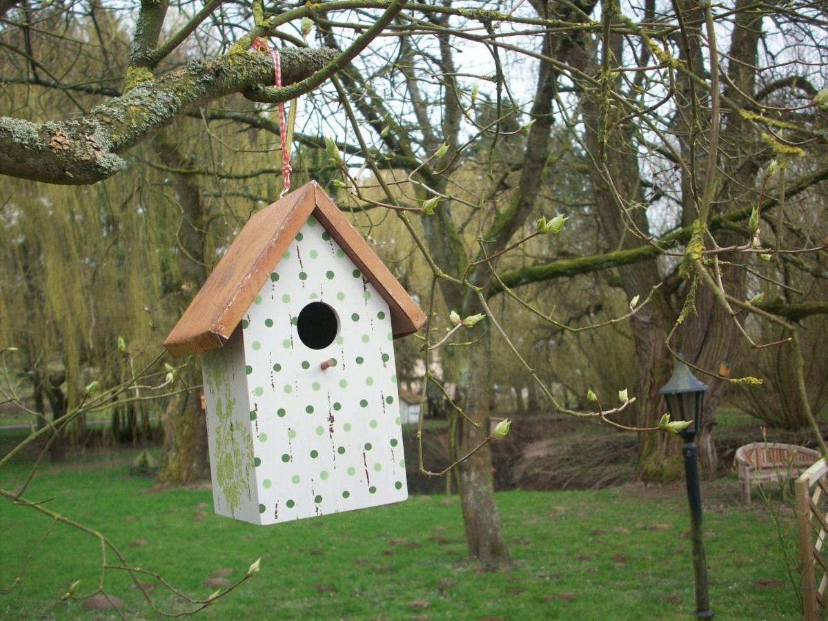 Moulin De Moxhe Micro Gite Et Gite - Bed & Dreams Exteriér fotografie